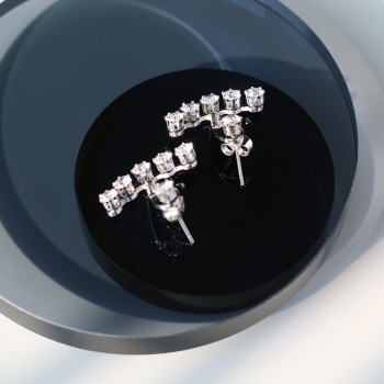 Gypsophila Silver Diamond Claw Zircon Korean Style Back Hanging Earrings  